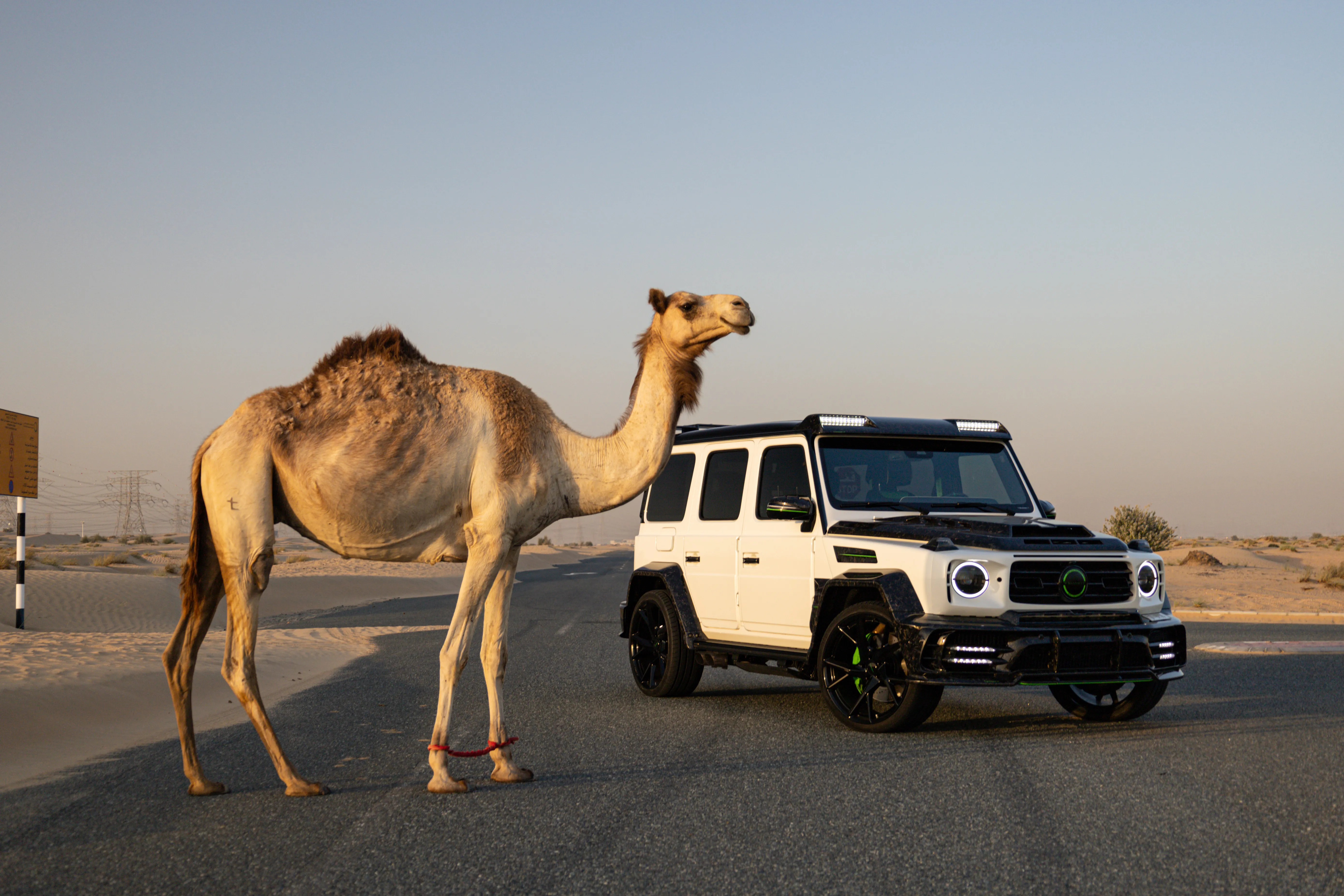 Luxury SUV rental market in Dubai